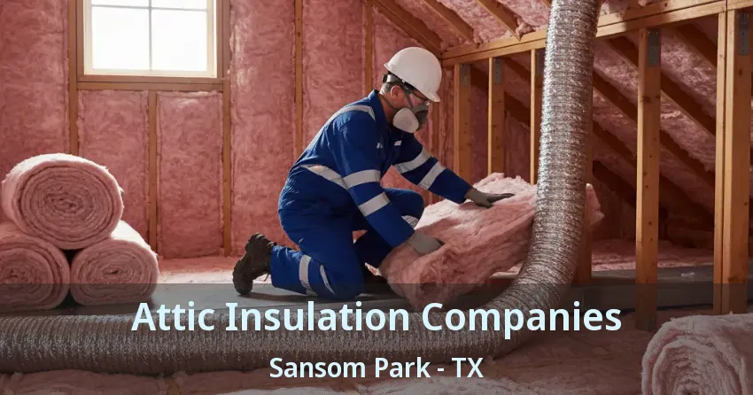 Attic Insulation Companies Sansom Park - TX