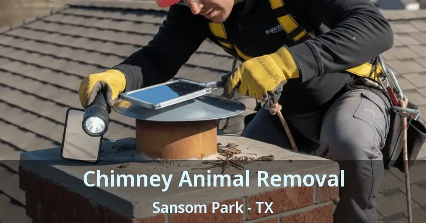 Chimney Animal Removal Sansom Park - TX