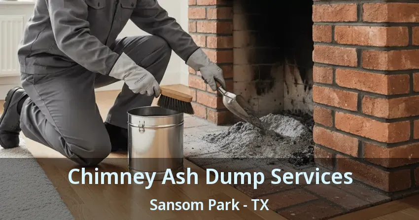 Chimney Ash Dump Services Sansom Park - TX