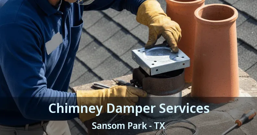 Chimney Damper Services Sansom Park - TX
