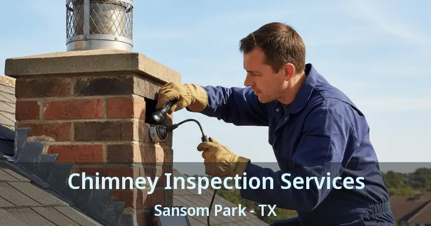 Chimney Inspection Services Sansom Park - TX