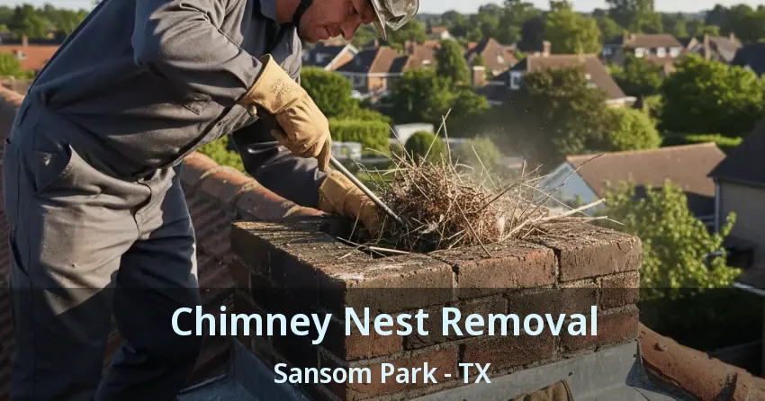 Chimney Nest Removal Sansom Park - TX