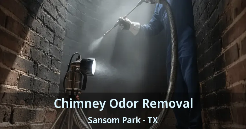 Chimney Odor Removal Sansom Park - TX