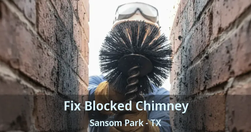 Fix Blocked Chimney Sansom Park - TX