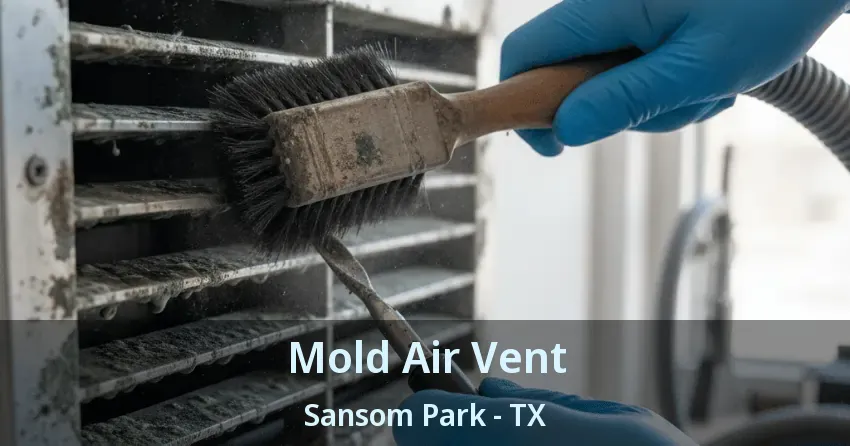 Mold Air Vent Sansom Park - TX