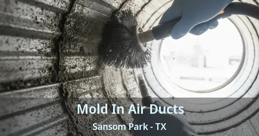 Mold In Air Ducts Sansom Park - TX Mold In Air Ducts Sansom Park - TX