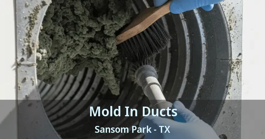 Mold In Ducts Sansom Park - TX Mold In Ducts Sansom Park - TX