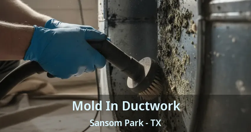 Mold In Ductwork Sansom Park - TX