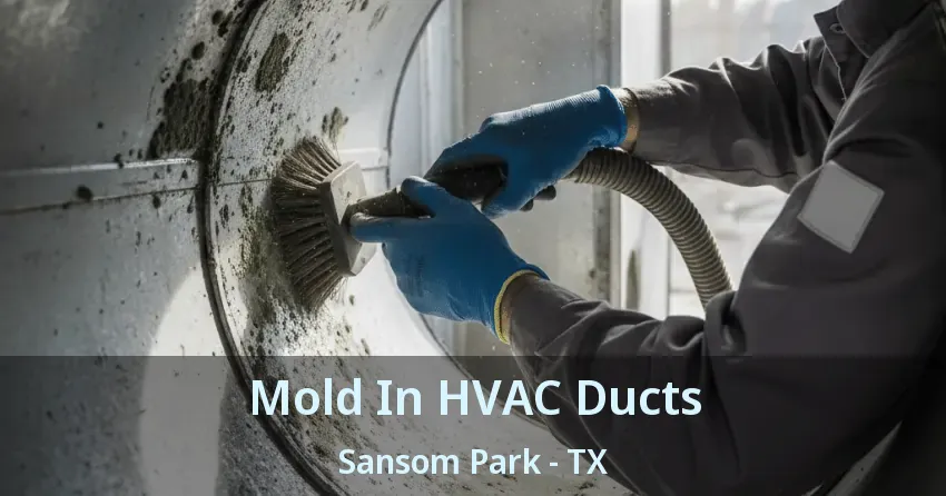 Mold In HVAC Ducts Sansom Park - TX