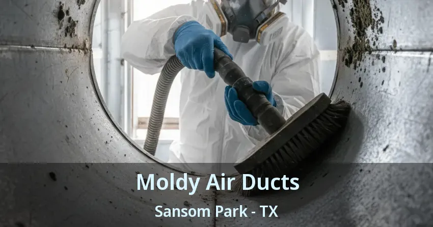 Moldy Air Ducts Sansom Park - TX